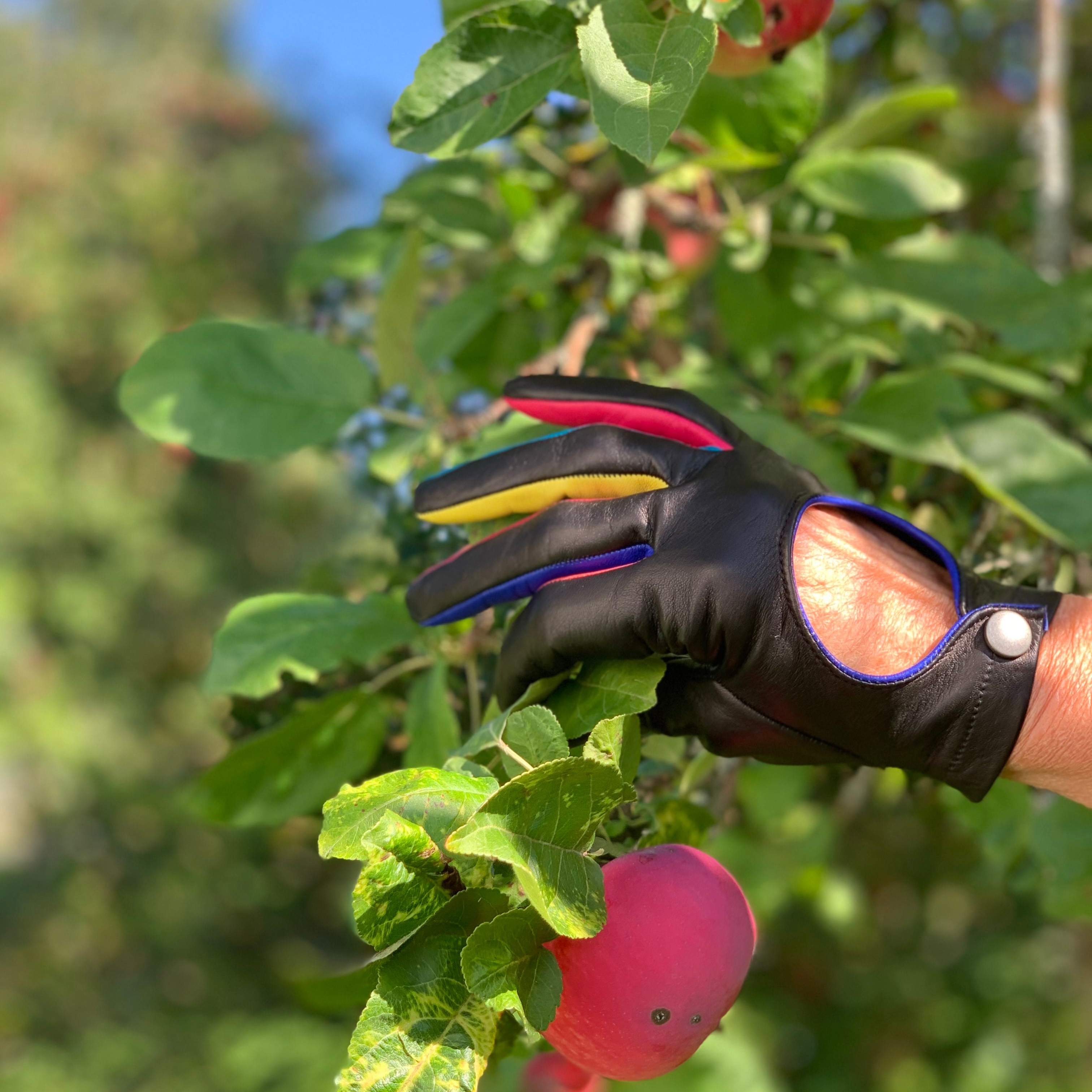 Naisten nahkakäsine, hittiralli, musta